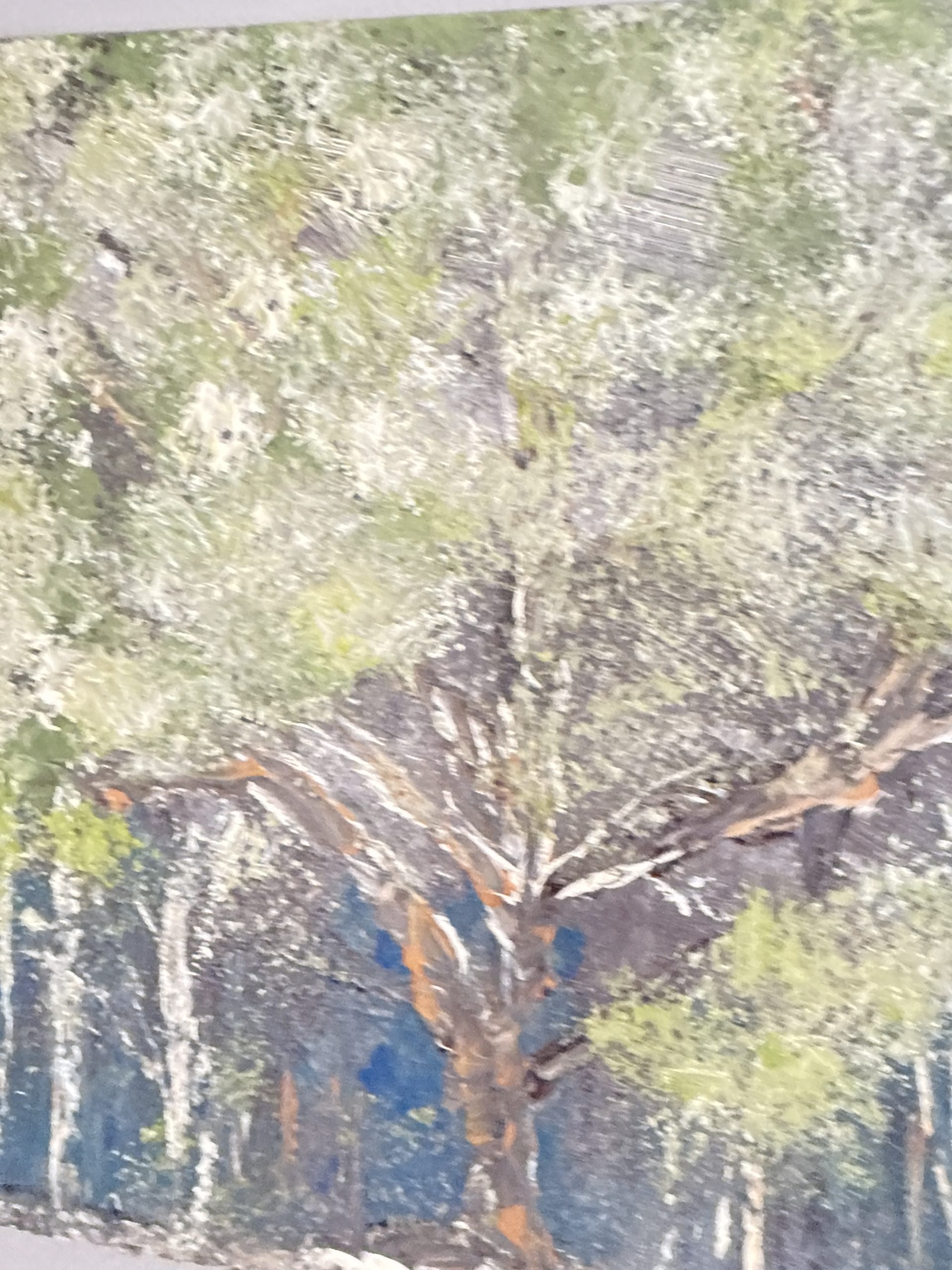 Whispering Grove - Image 2