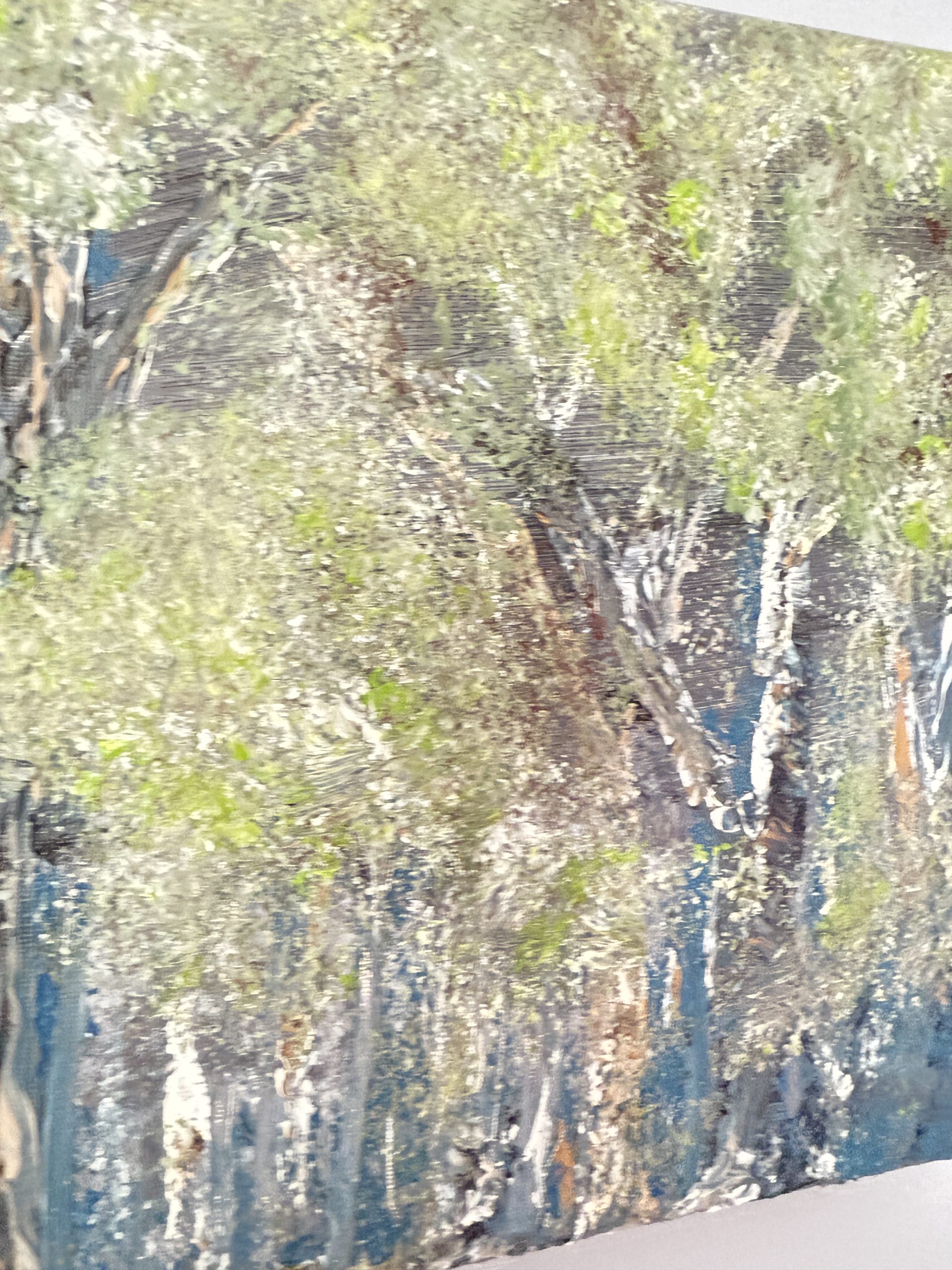Whispering Grove - Image 15