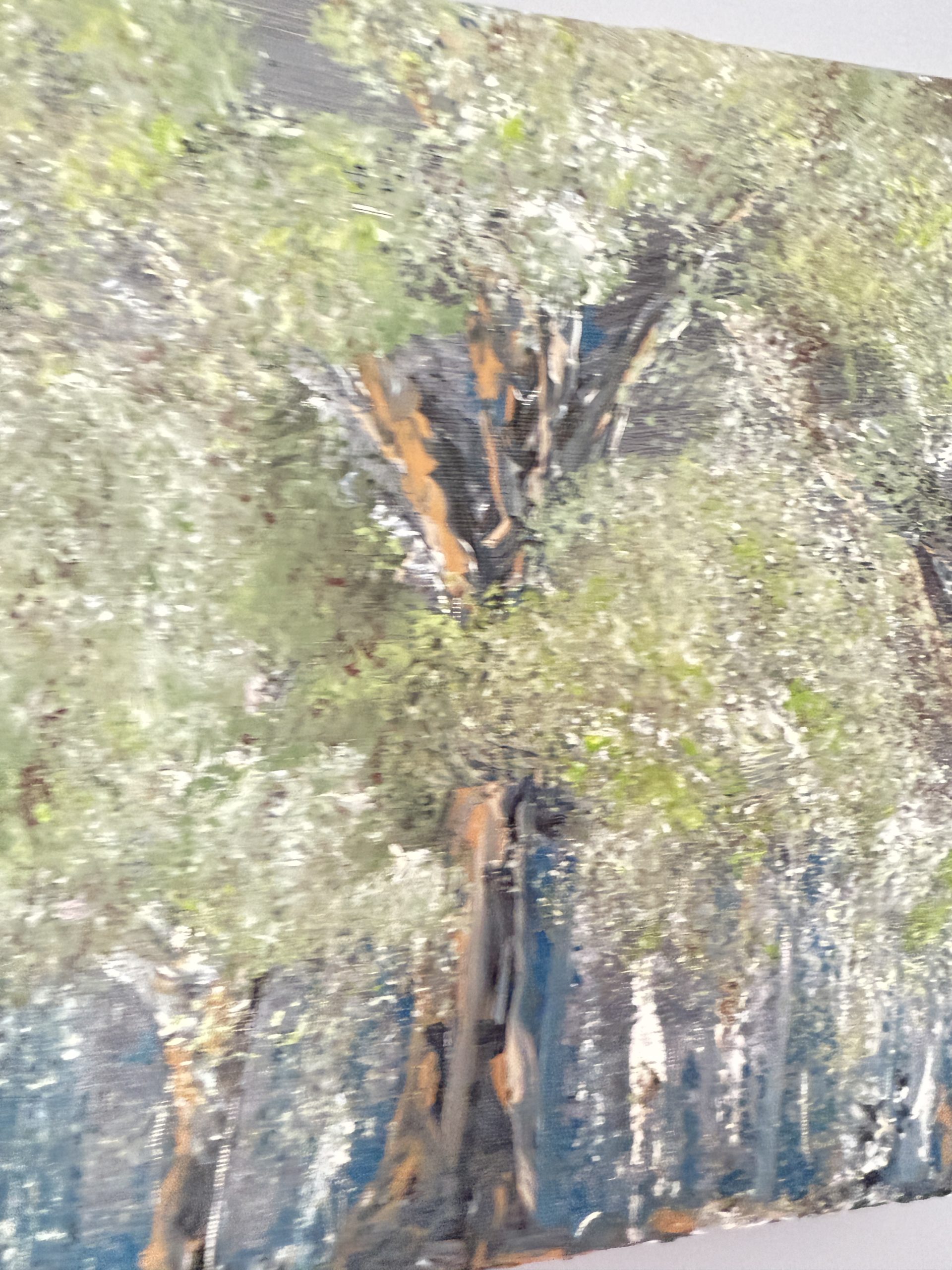 Whispering Grove - Image 16
