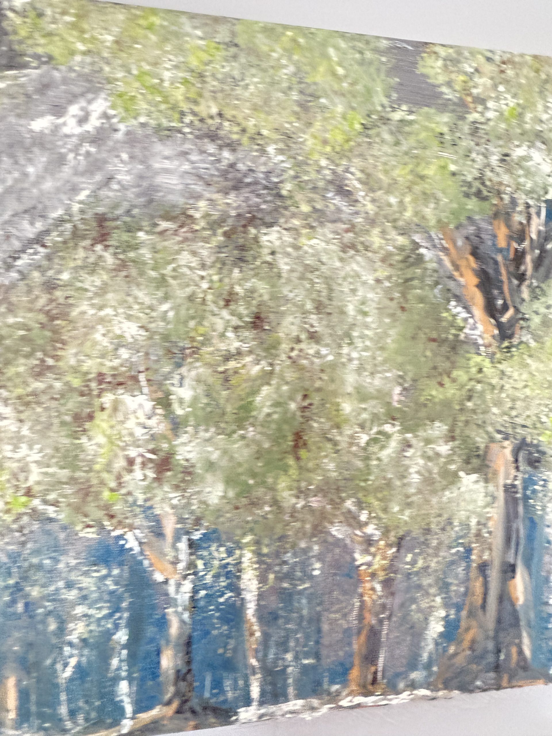 Whispering Grove - Image 17