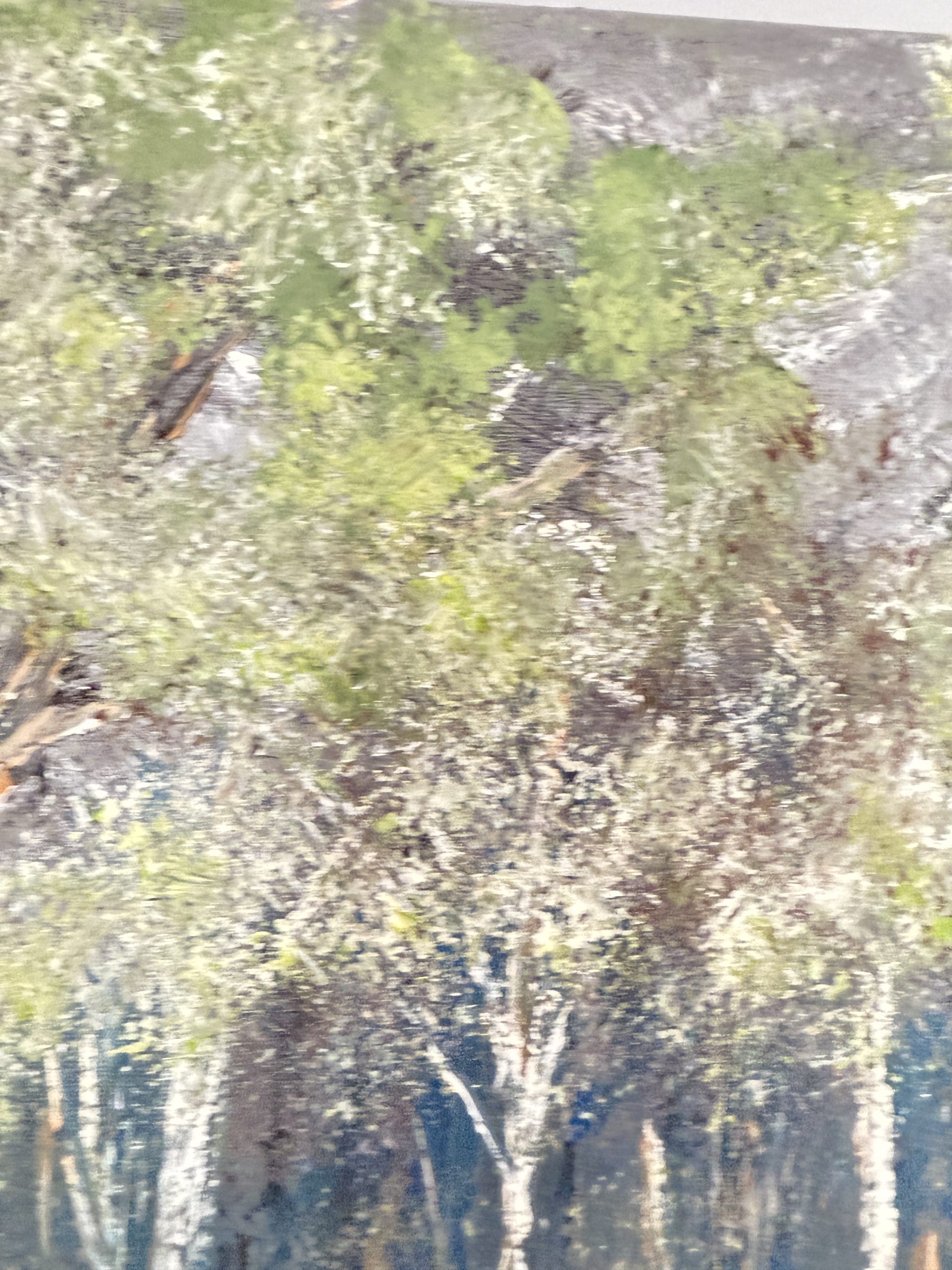 Whispering Grove - Image 19