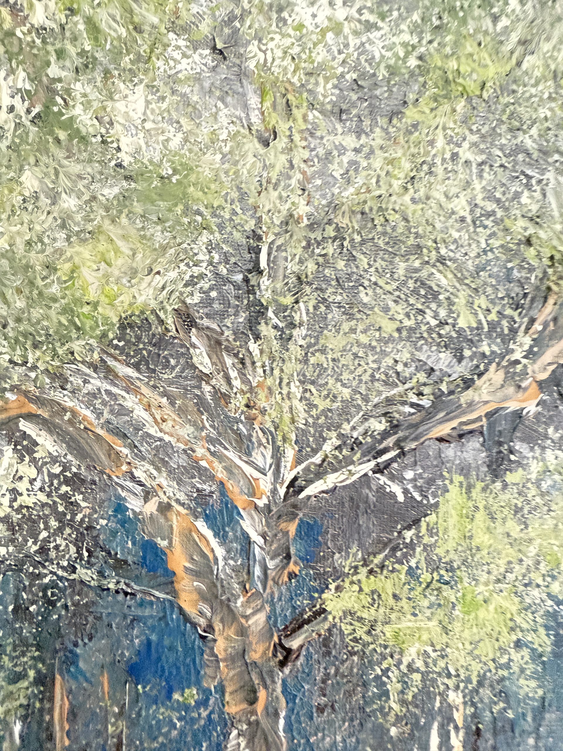 Whispering Grove - Image 9