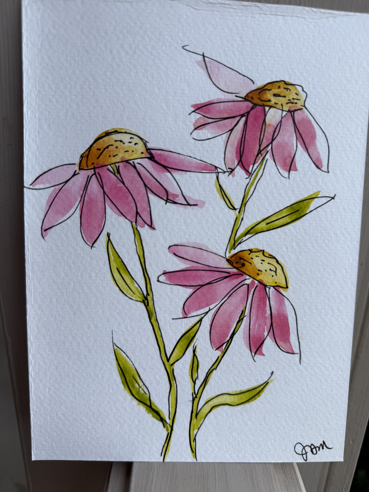 Wild Coneflowers - Image 2