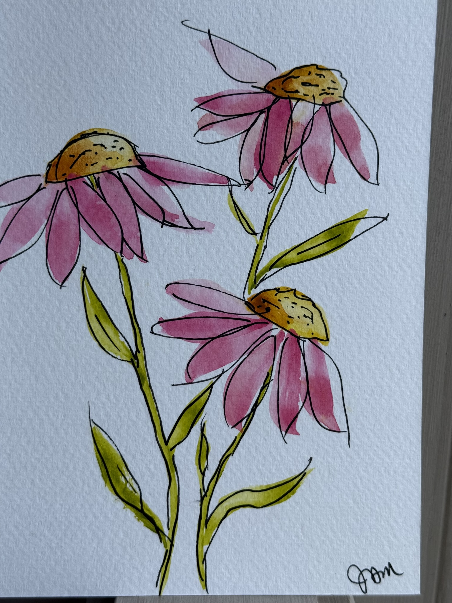 Wild Coneflowers - Image 3